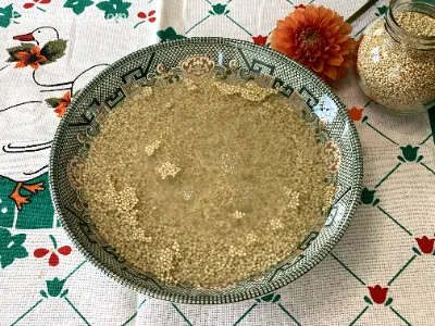 Pâine cu Quinoa și Praf de Copt 1 Ingredient